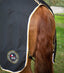 Premier Equine Stratus Horse Stable Sheet - Equine Horse Wear