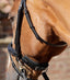 Premier Equine Throatlash - Equine Horse Wear