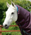 Premier Equine Titan 200g Turnout Rug with Snug-Fit Neck Cover - Equine Horse Wear