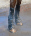 Premier Equine Turnout / Mud Fever Boots - Equine Horse Wear