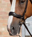 Premier Equine Verdura Anatomic Cavesson Noseband