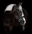 Lumiere Arcadia Hanoverian Luxury Leather Bridle