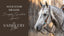 Not Just for the Elite: Everyday Equestrian Gear at The Saddlery Store