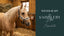 Winter-Ready: The Saddlery Store Essentials for a Kiwi Winter