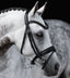 Lumiere Arcadia Hanoverian Luxury Leather Bridle