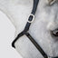 Lumiere Perseus Leather Halter