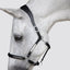 Lumiere Perseus Leather Halter