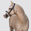 Lumi Pony Pera Bridle