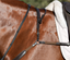 Lumiere Parker Bridge Breastplate