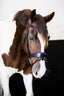 'Mikayla' Leather Bridle (Convertible)