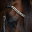Lumiere Amber Euro Version Anatomic Leather Bridle