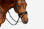 'Amie' Flat Leather Bridle (Hanoverian)