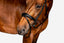 'Amie' Flat Leather Bridle (Hanoverian)