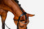 'Amie' Flat Leather Bridle (Hanoverian)