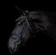 'Ariana' bridle (cavesson) - Equine Horse Wear - Black / Cob