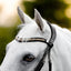 'Ariana' bridle (cavesson) - Equine Horse Wear - Black / Cob
