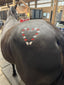 Armor Equestrian Stencil Kit - Equine Grooming - Hearts in Magenta-Stars in Silver-Crown in Gold-Lightning Bolt in Champagne-Flame in Red