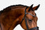 'Aurelie' Flat Leather Bridle (Hanoverian)