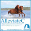 Calm Healthy Horses AlleviateC 800g - Equine Nutritional & Performance Supplements 