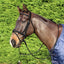 Cavallino Mclean Anatomic Bridle With Reins - Equine Horse Wear 