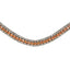 Lumiere Champagne Crystal Browband