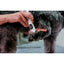 Clipper Aesculap Exacta Cordless - Equine Grooming 