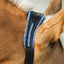 Lumiere Paris Leather Halter