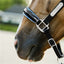 Lumiere Paris Leather Halter
