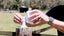 Equine Eye Vision - Equine Stable Equipment 