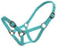 Blue Tag Web Halter Small Sizes - Equine Horse Wear 
