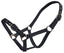 Blue Tag Web Halter Small Sizes - Equine Horse Wear 