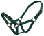 Blue Tag Web Halter Small Sizes - Equine Horse Wear 
