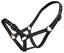 Blue Tag Web Halter Small Sizes - Equine Horse Wear 