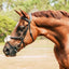 Grackle Noseband - Equine Horse Wear 