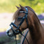 Lumi Pony Anastasia Leather Convertible Bridle - Equine Horse Wear 