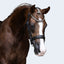 Lumi Pony Athens Leather Bridle - Equine Horse Wear 