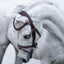 Lumi Pony Delaney Leather Bridle