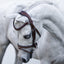 Lumi Pony Delaney Leather Bridle - Equine Horse Wear 