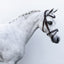Lumi Pony Delaney Leather Bridle - Equine Horse Wear 