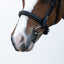 Lumi Pony Megan Convertible Leather Bridle - Equine Horse Wear 
