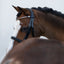 Lumi Pony Megan Convertible Leather Bridle - Equine Horse Wear 