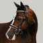 Lumi Pony Princess Bridle - Equine Horse Wear 