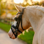 Lumi Pony Unicorn Bridle - Equine Horse Wear 