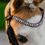Lumi Pony Unicorn Browband - Equine Horse Wear 