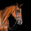 Lumiere Abigail Convertible Leather Bridle - Equine Horse Wear 