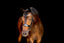Lumiere Adeline Luxury Double Leather Bridle - Equine Horse Wear 