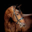 Lumiere Adeline Luxury Double Leather Bridle - Equine Horse Wear 