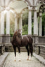 Lumiere Adeline Luxury Double Leather Bridle - Equine Horse Wear 
