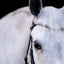 Lumiere Amie Cavesson Rolled Leather Bridle - Equine Horse Wear 