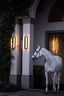 Lumiere Amie Cavesson Rolled Leather Bridle - Equine Horse Wear 